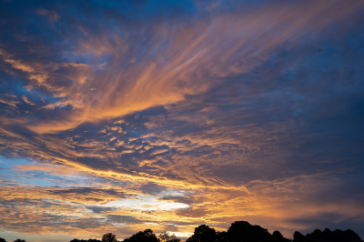 <i class='fa fa-user'></i> Ties Niehof | Zonsondergang  <i class='fa fa-eye'> 66</i>  <i class='fa fa-thumbs-up'> 1</i>   <i class='fa fa-comment-o'> 4</i>