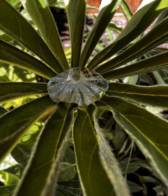 <i class='fa fa-user'></i>&nbsp;HenK5&nbsp;|  Waterdruppel&nbsp; <i class='fa fa-eye'>&nbsp;69</i> &nbsp; <i class='fa fa-comment-o'>&nbsp;3</i>