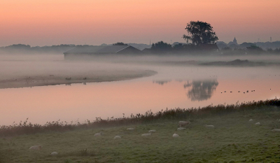<i class='fa fa-user'></i> Nel R | Voor zonsopkomst  <i class='fa fa-eye'> 74</i>  <i class='fa fa-thumbs-up'> 5</i>   <i class='fa fa-comment-o'> 5</i>