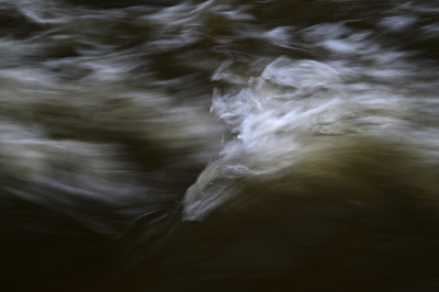 <i class='fa fa-user'></i>&nbsp;liesbeth van vliet&nbsp;|  Gevecht tegen het water&nbsp; <i class='fa fa-eye'>&nbsp;114</i> &nbsp;<i class='fa fa-thumbs-up'>&nbsp;5</i> &nbsp; <i class='fa fa-comment-o'>&nbsp;11</i>