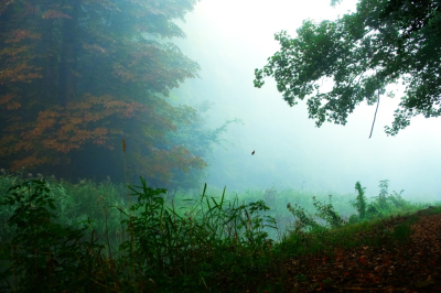 <i class='fa fa-user'></i>&nbsp;hesterb&nbsp;|  Herfst komt&nbsp; <i class='fa fa-eye'>&nbsp;80</i> &nbsp; <i class='fa fa-comment-o'>&nbsp;4</i>