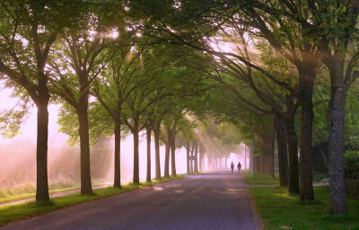 <i class='fa fa-user'></i>&nbsp;Nel R&nbsp;|  Magische morgen&nbsp; <i class='fa fa-eye'>&nbsp;104</i> &nbsp;<i class='fa fa-thumbs-up'>&nbsp;7</i> &nbsp; <i class='fa fa-comment-o'>&nbsp;12</i>