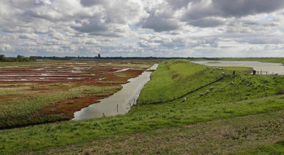 <i class='fa fa-user'></i>&nbsp;Nel R&nbsp;|  Inlagen en Karrevelden&nbsp; <i class='fa fa-eye'>&nbsp;82</i> &nbsp;<i class='fa fa-thumbs-up'>&nbsp;6</i> &nbsp; <i class='fa fa-comment-o'>&nbsp;7</i>