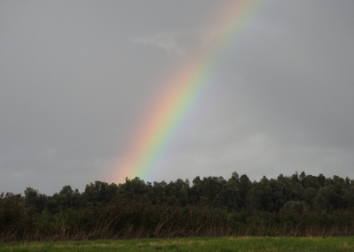 <i class='fa fa-user'></i> Jovanzo |  Regenboog  <i class='fa fa-eye'> 46</i>  <i class='fa fa-thumbs-up'> 1</i>   <i class='fa fa-comment-o'> 3</i>