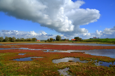 <i class='fa fa-user'></i> B.M.Schouten-Ruis | Landschap plan Tureluur  <i class='fa fa-eye'> 67</i>  <i class='fa fa-thumbs-up'> 4</i>   <i class='fa fa-comment-o'> 4</i>