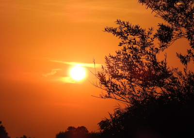 <i class='fa fa-user'></i> Jovanzo | Zonsondergang bij het Noord Aa  <i class='fa fa-eye'> 33</i>  <i class='fa fa-thumbs-up'> 1</i>   <i class='fa fa-comment-o'> 2</i>