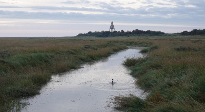 Voor het eerst eens de oversteek gemaakt vanaf deze plek naar de noordkant van het eiland. Meestal is het daar erg nat of is net broedseizoen maar vandaag  kon het gewoon. Ruim een uur lopen over smalle kronkelende paadjes met nog verrassend veel bloemen en vlinders om uit te komen op een zandpad linksaf naar de bekende stranden.