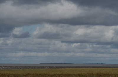 <i class='fa fa-user'></i> Ties Niehof |  Donkere wolken boven het Wad  <i class='fa fa-eye'> 31</i>   <i class='fa fa-comment-o'> 0</i>