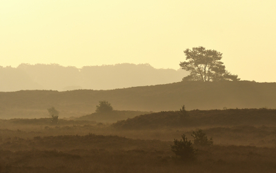 <i class='fa fa-user'></i> Eric Gibcus |  Landschap  <i class='fa fa-eye'> 3</i>   <i class='fa fa-comment-o'> 0</i>