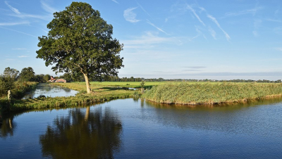 <i class='fa fa-user'></i> kooyammers |  Polder Groot-Keulevaart  <i class='fa fa-eye'> 2</i>   <i class='fa fa-comment-o'> 0</i>