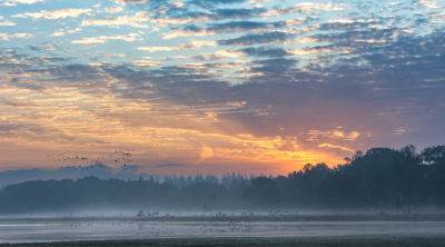 <i class='fa fa-user'></i> Reinier van den Born |  Zonsopkomst  <i class='fa fa-eye'> 4</i>   <i class='fa fa-comment-o'> 0</i>