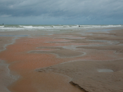 <i class='fa fa-user'></i>&nbsp;susan meijnders&nbsp;|  Zeevonk&nbsp; <i class='fa fa-eye'>&nbsp;75</i> &nbsp; <i class='fa fa-comment-o'>&nbsp;3</i>