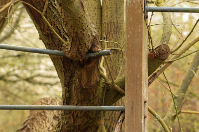 <i class='fa fa-user'></i>&nbsp;frbeuming&nbsp;|  Houtgreep&nbsp; <i class='fa fa-eye'>&nbsp;79</i> &nbsp; <i class='fa fa-comment-o'>&nbsp;2</i>