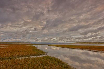 <i class='fa fa-user'></i>&nbsp;Tom&nbsp;|  Slufter Texel&nbsp; <i class='fa fa-eye'>&nbsp;90</i> &nbsp;<i class='fa fa-thumbs-up'>&nbsp;6</i> &nbsp; <i class='fa fa-comment-o'>&nbsp;8</i>