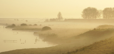 <i class='fa fa-user'></i>&nbsp;Nel R&nbsp;|  Vroege morgen&nbsp; <i class='fa fa-eye'>&nbsp;87</i> &nbsp;<i class='fa fa-thumbs-up'>&nbsp;8</i> &nbsp; <i class='fa fa-comment-o'>&nbsp;6</i>