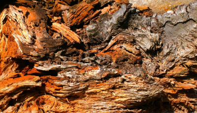 <i class='fa fa-user'></i>&nbsp;hesterb&nbsp;|  Disruptie Boombast&nbsp; <i class='fa fa-eye'>&nbsp;49</i> &nbsp; <i class='fa fa-comment-o'>&nbsp;3</i>