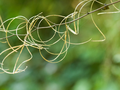 <i class='fa fa-user'></i>&nbsp;susan meijnders&nbsp;|  Sierlijk&nbsp; <i class='fa fa-eye'>&nbsp;63</i> &nbsp; <i class='fa fa-comment-o'>&nbsp;1</i>