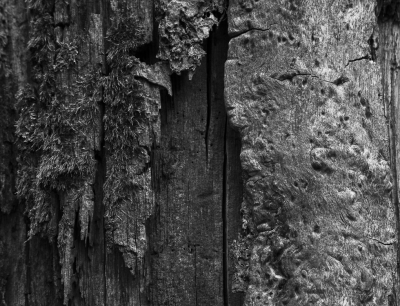 <i class='fa fa-user'></i>&nbsp;ErnovanDoorn&nbsp;|  Boomschors&nbsp; <i class='fa fa-eye'>&nbsp;44</i> &nbsp; <i class='fa fa-comment-o'>&nbsp;2</i>