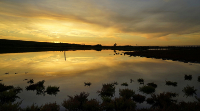 <i class='fa fa-user'></i>&nbsp;Nel R&nbsp;|  Schemering&nbsp; <i class='fa fa-eye'>&nbsp;82</i> &nbsp;<i class='fa fa-thumbs-up'>&nbsp;4</i> &nbsp; <i class='fa fa-comment-o'>&nbsp;8</i>