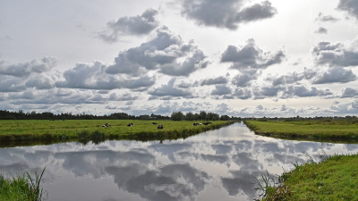 <i class='fa fa-user'></i>&nbsp;kooyammers&nbsp;|  Polder De Nes&nbsp; <i class='fa fa-eye'>&nbsp;69</i> &nbsp;<i class='fa fa-thumbs-up'>&nbsp;4</i> &nbsp; <i class='fa fa-comment-o'>&nbsp;6</i>