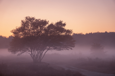Opname vanaf statief bij een mooie mistige zonsopgang