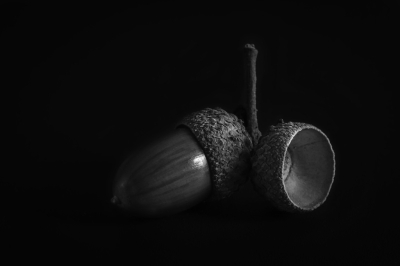 <i class='fa fa-user'></i> harrie69 | Eikel  <i class='fa fa-eye'> 86</i>  <i class='fa fa-thumbs-up'> 10</i>   <i class='fa fa-comment-o'> 7</i>