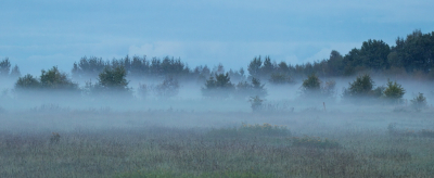 <i class='fa fa-user'></i> rixte | Opkomende mist bij zonsondergang  <i class='fa fa-eye'> 65</i>  <i class='fa fa-thumbs-up'> 4</i>   <i class='fa fa-comment-o'> 6</i>
