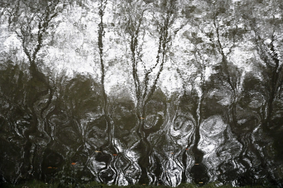 <i class='fa fa-user'></i> liesbeth van vliet | Reflectie  <i class='fa fa-eye'> 83</i>  <i class='fa fa-thumbs-up'> 4</i>   <i class='fa fa-comment-o'> 10</i>