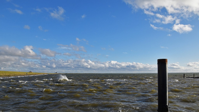 <i class='fa fa-user'></i> kooyammers | Onstuimige Oosterschelde  <i class='fa fa-eye'> 78</i>  <i class='fa fa-thumbs-up'> 1</i>   <i class='fa fa-comment-o'> 4</i>