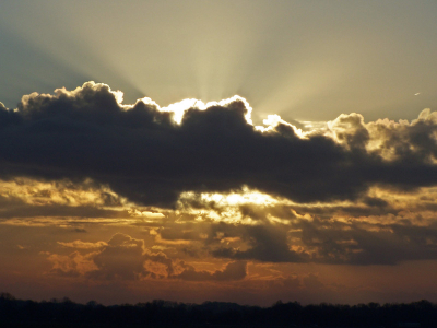 Prachtig gezicht. De zon achter de wolken, duizenden ganzen die vanuit de slaapplaats vertrekken. En achter je duizenden smienten, slobeenden enz..