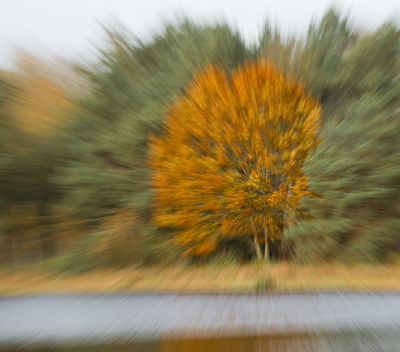 <i class='fa fa-user'></i> Truus Aletta Maan | Herfst kleuren  <i class='fa fa-eye'> 76</i>  <i class='fa fa-thumbs-up'> 2</i>   <i class='fa fa-comment-o'> 7</i>