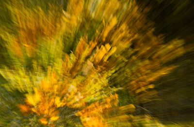 <i class='fa fa-user'></i> Truus Aletta Maan | Herfst kleuren  <i class='fa fa-eye'> 72</i>  <i class='fa fa-thumbs-up'> 1</i>   <i class='fa fa-comment-o'> 6</i>