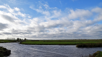 <i class='fa fa-user'></i> kooyammers | Polder Den Hoek  <i class='fa fa-eye'> 59</i>   <i class='fa fa-comment-o'> 1</i>
