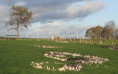 <i class='fa fa-user'></i>&nbsp;ko katsman&nbsp;|  Geschubde Inktzwam&nbsp; <i class='fa fa-eye'>&nbsp;166</i> &nbsp; <i class='fa fa-comment-o'>&nbsp;9</i>