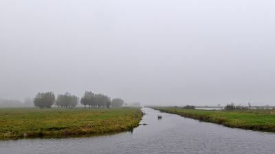 <i class='fa fa-user'></i>&nbsp;kooyammers&nbsp;|  Mist&nbsp; <i class='fa fa-eye'>&nbsp;56</i> &nbsp;<i class='fa fa-thumbs-up'>&nbsp;2</i> &nbsp; <i class='fa fa-comment-o'>&nbsp;3</i>