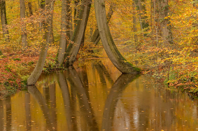 <i class='fa fa-user'></i>&nbsp;Tom&nbsp;|  Twickelervaart, Delden&nbsp; <i class='fa fa-eye'>&nbsp;165</i> &nbsp;<i class='fa fa-thumbs-up'>&nbsp;9</i> &nbsp; <i class='fa fa-comment-o'>&nbsp;17</i>