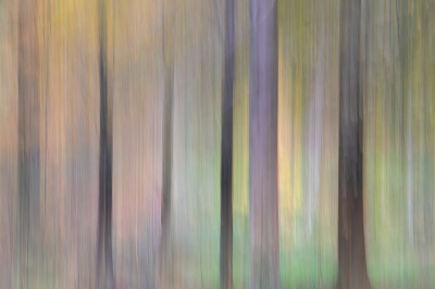 <i class='fa fa-user'></i> Johan van Gurp | Kleurverloop in het bos  <i class='fa fa-eye'> 125</i>  <i class='fa fa-thumbs-up'> 15</i>   <i class='fa fa-comment-o'> 9</i>