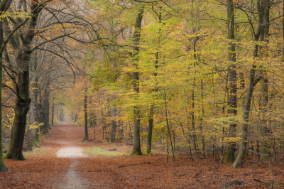 <i class='fa fa-user'></i>&nbsp;ErnovanDoorn&nbsp;|  Herfstsfeer&nbsp; <i class='fa fa-eye'>&nbsp;67</i> &nbsp;<i class='fa fa-thumbs-up'>&nbsp;1</i> &nbsp; <i class='fa fa-comment-o'>&nbsp;7</i>