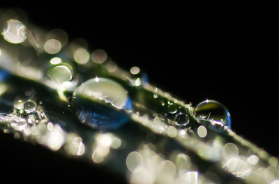 <i class='fa fa-user'></i> Truus Aletta Maan | Water  <i class='fa fa-eye'> 41</i>   <i class='fa fa-comment-o'> 8</i>
