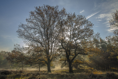 Het lukt niet vaak, voorgrond, onderwerp, tegenlicht en lucht allemaal belicht zodat het totaalplaatje klopt. Bij deze foto vind ik dat het geval, zonder filters alleen geschoven met de bovenste schuifjes.