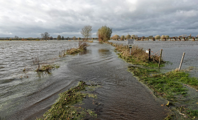 <i class='fa fa-user'></i> nelappelmelk | Hoog water  <i class='fa fa-eye'> 98</i>   <i class='fa fa-comment-o'> 8</i>