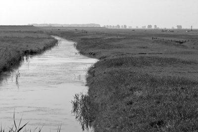 <i class='fa fa-user'></i>&nbsp;Martin van der Giesen&nbsp;| Korendijkse Slikken&nbsp; <i class='fa fa-eye'>&nbsp;349</i> &nbsp;<i class='fa fa-thumbs-up'>&nbsp;2</i> &nbsp; <i class='fa fa-comment-o'>&nbsp;3</i>