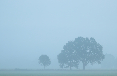 <i class='fa fa-user'></i> rixte |  Bomen in de mist  <i class='fa fa-eye'> 32</i>   <i class='fa fa-comment-o'> 1</i>