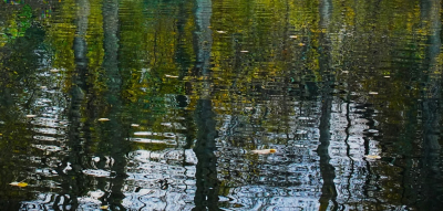 <i class='fa fa-user'></i> hesterb |  Kolk in beweging  <i class='fa fa-eye'> 24</i>   <i class='fa fa-comment-o'> 0</i>