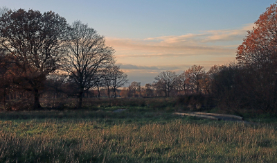 <i class='fa fa-user'></i> Tineke Strijbosch | Beekdallandschap het Messchenveld  <i class='fa fa-eye'> 57</i>  <i class='fa fa-thumbs-up'> 1</i>   <i class='fa fa-comment-o'> 7</i>