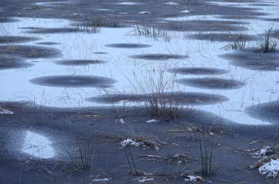 <i class='fa fa-user'></i> nelappelmelk |  Winterse vormen  <i class='fa fa-eye'> 14</i>   <i class='fa fa-comment-o'> 0</i>