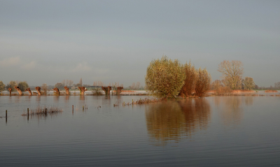 <i class='fa fa-user'></i> nelappelmelk | Bomenrijen in het water  <i class='fa fa-eye'> 74</i>   <i class='fa fa-comment-o'> 3</i>