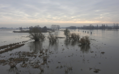 <i class='fa fa-user'></i> sieb | Hoog water IJssel  <i class='fa fa-eye'> 80</i>  <i class='fa fa-thumbs-up'> 4</i>   <i class='fa fa-comment-o'> 5</i>