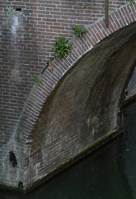 <i class='fa fa-user'></i> Ad Sprang |  Steenbreekvaren  <i class='fa fa-eye'> 36</i>   <i class='fa fa-comment-o'> 0</i>