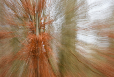 <i class='fa fa-user'></i> Truus Aletta Maan |  Herfst kleuren  <i class='fa fa-eye'> 37</i>   <i class='fa fa-comment-o'> 2</i>